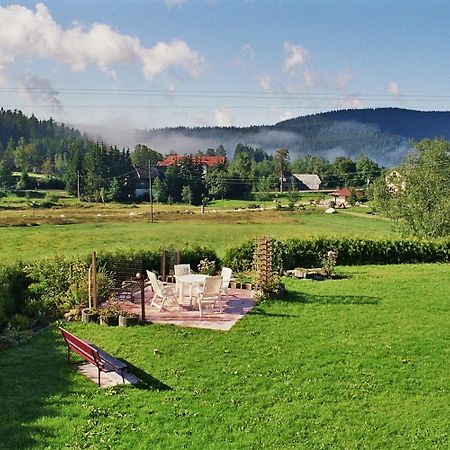 Pension Wiesengrund Schluchsee Exterior foto