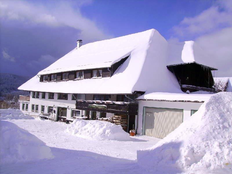 Pension Wiesengrund Schluchsee Exterior foto