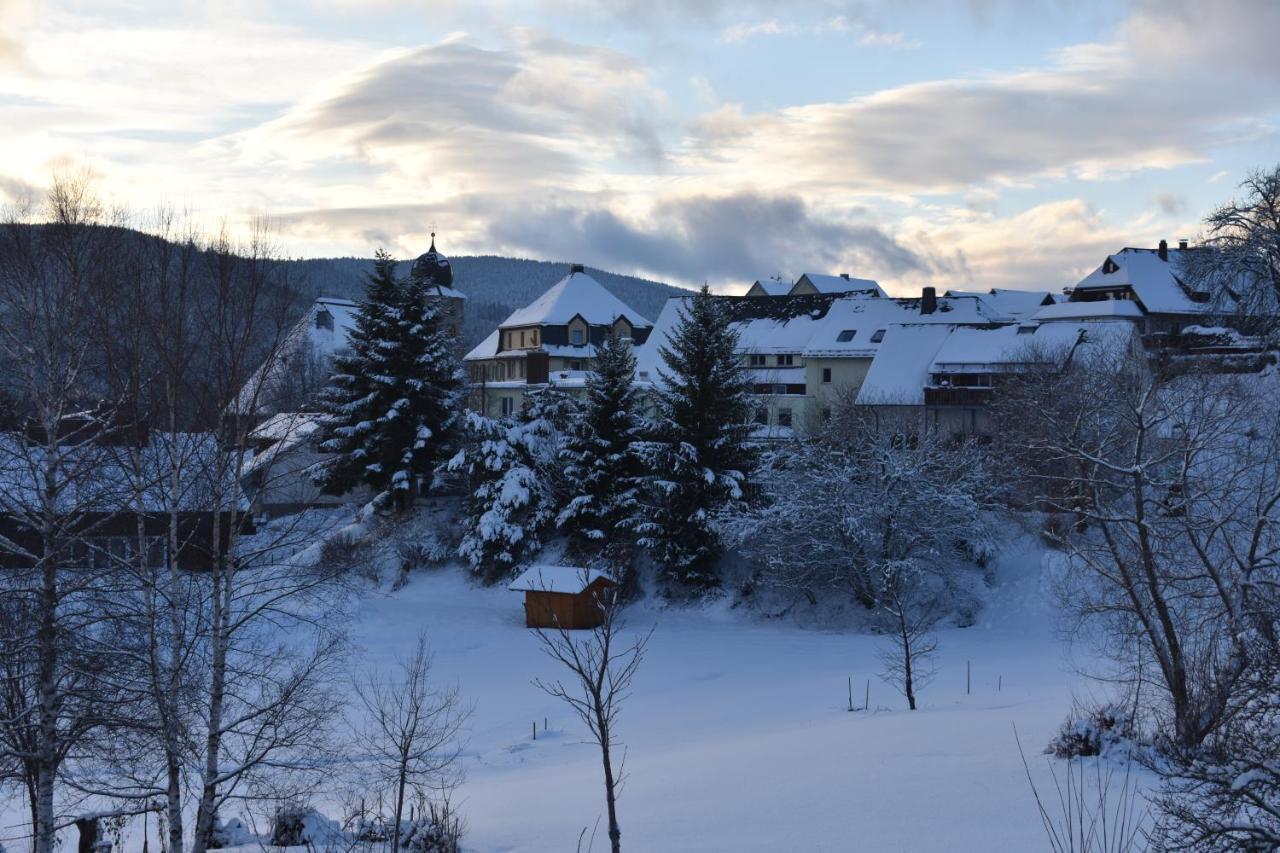 Pension Wiesengrund Schluchsee Exterior foto